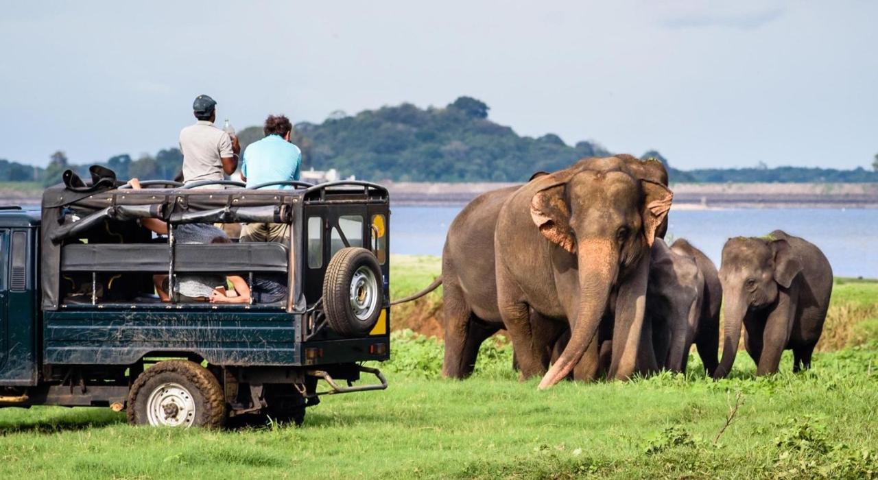 Dinesh Safari Homestay Udawalawe Exteriér fotografie